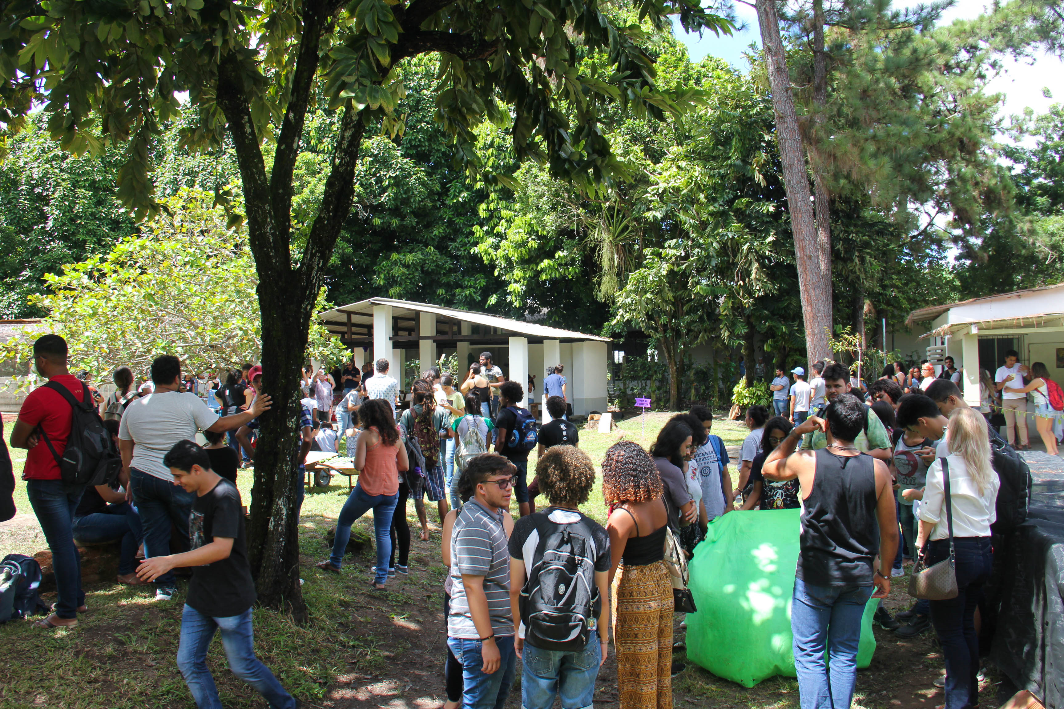 Estudantes e docentes de engenharia florestal reunidos