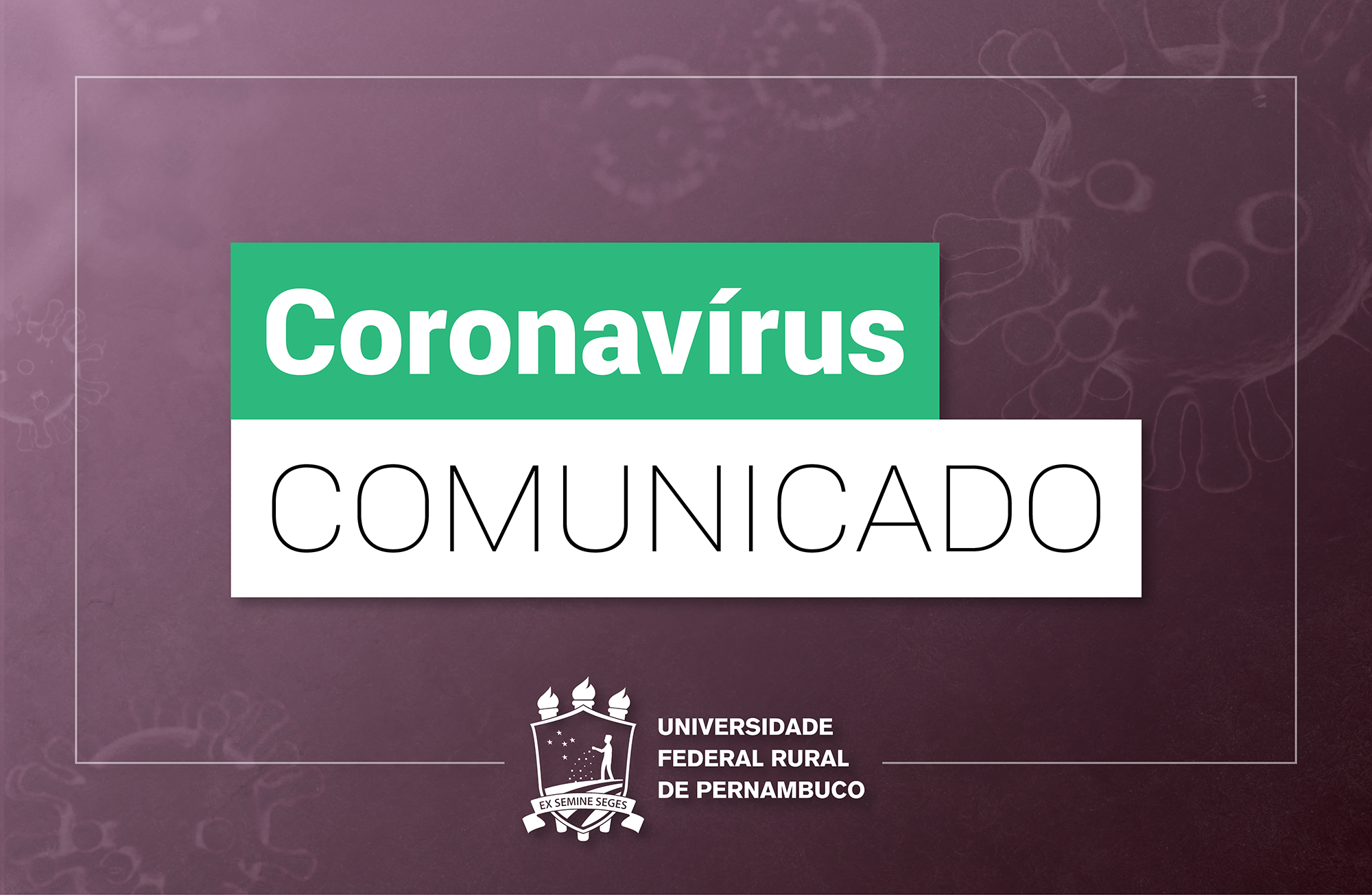 cartaz comitê