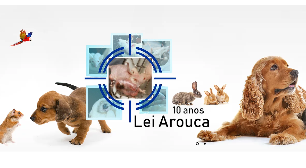 cartaz do evento