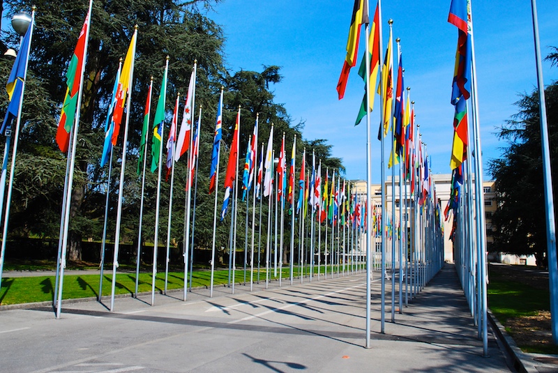 bandeiras de vários países hastadas em matros