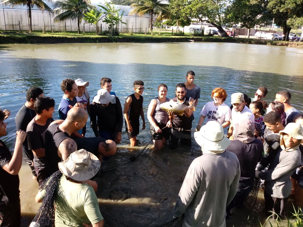 estudantes de engenharia de pesca dentro de um tanque-laboratório pescando tilápias