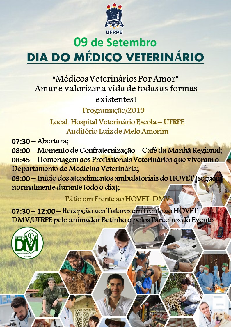 programação